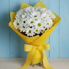 Букет цветов из:  Хризантемы в Агаповка