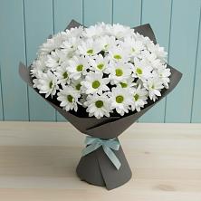 Букет цветов из:  Хризантемы в Агаповка